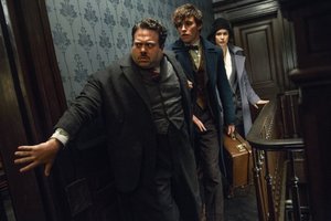 Jacob, Newt und Tina Jacob, Newt und Tina