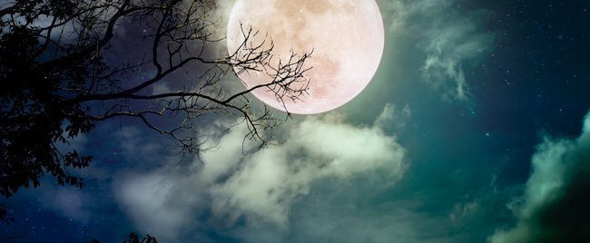 Diese 4 Tierkreiszeichen spüren den Vollmond im Mai auf besondere Art