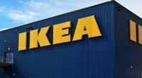 Verrückter Hype: Diesen Ikea-Hut wollen jetzt plötzlich alle