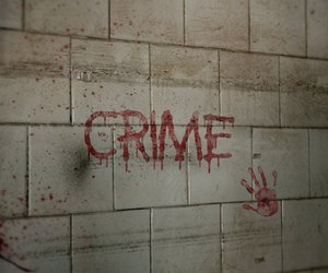 Thriller-Highlight: Die brutale Mordserie aus diesem Buch von Chris Carter