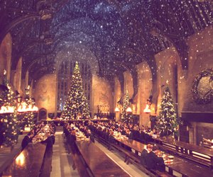 Harry Potter Adventskalender: 5 super magische Produkte im Dezember!