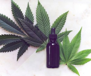 CBD Öl: Deshalb schwören so viele auf das Hanf-Elixier