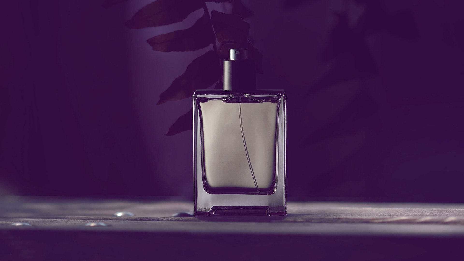 Neue Parfums 2024: Das sind die 5 besten Düfte für Männer