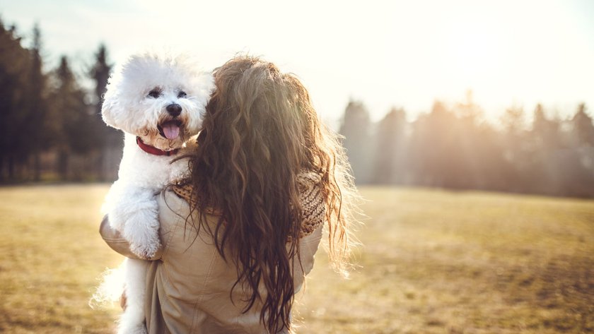 Hunde, die kaum bellen