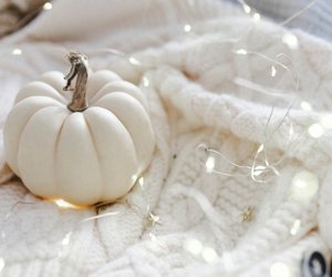 Für Halloween perfekt: Diese weißen Deko-Kürbisse von Amazon sind echt schick