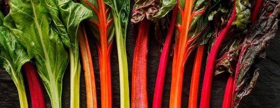 Mangold gesund: Bunte Stiele Mangold gesund: Bunte Stiele