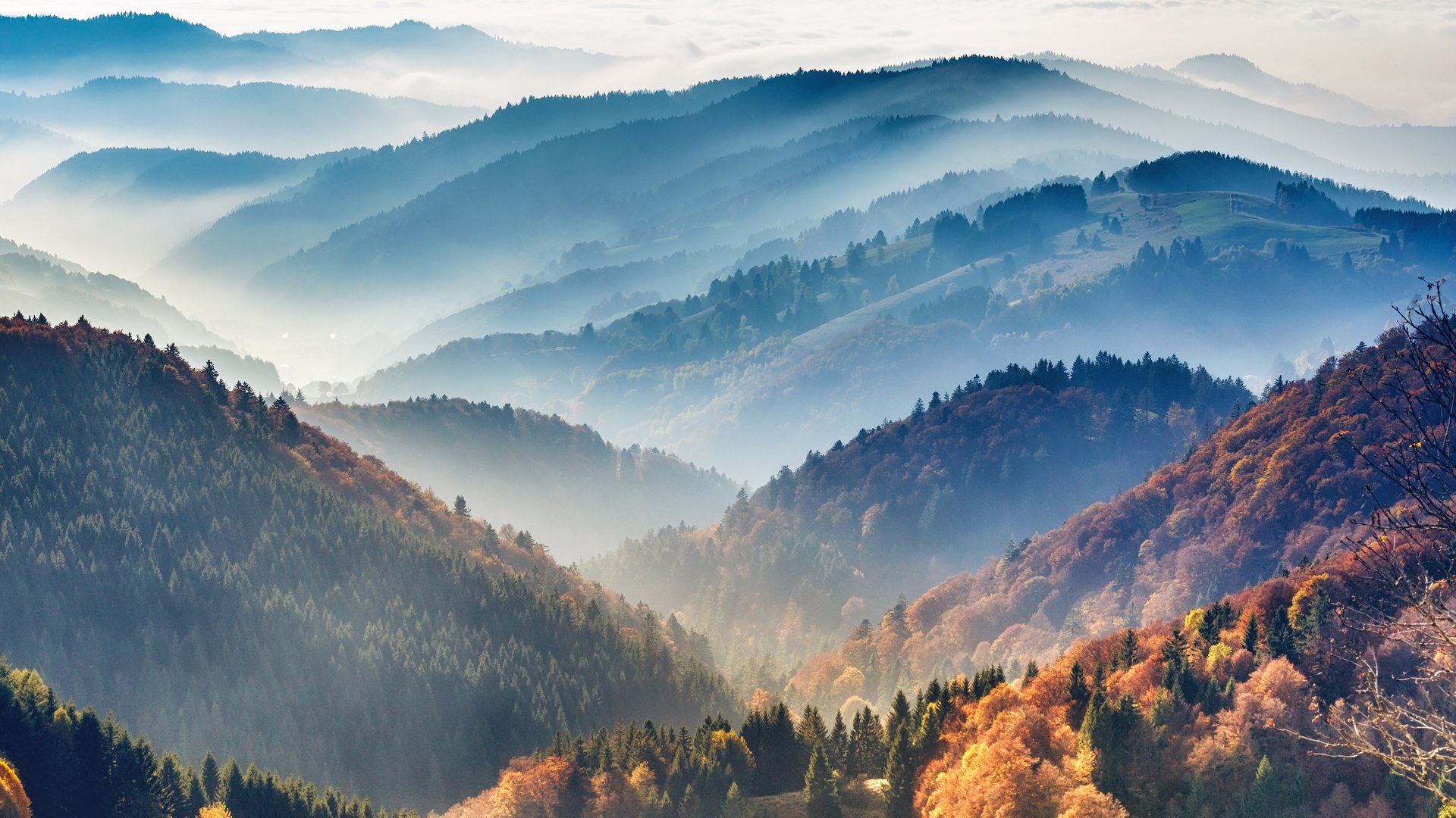 Die-sch-nsten-Wanderwege-im-Schwarzwald