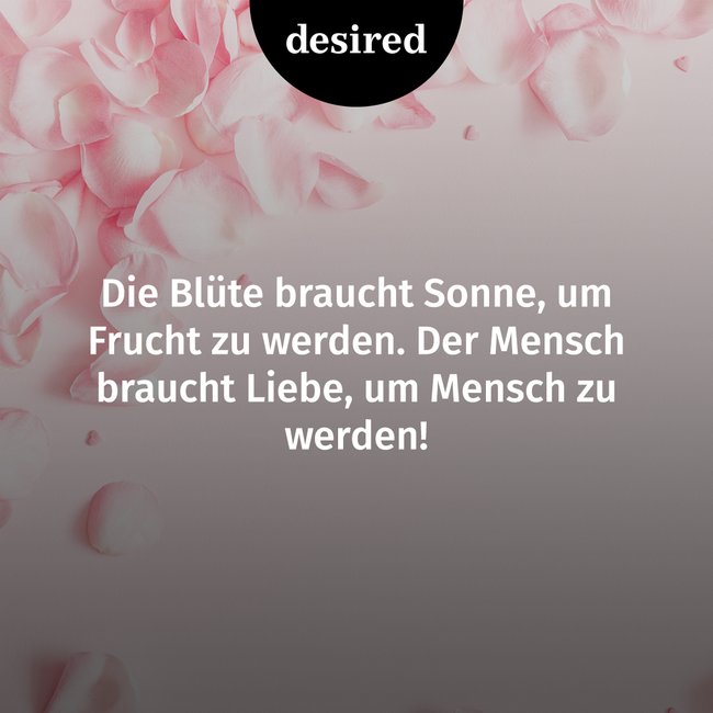 Treue beziehung sprüche Die 30+