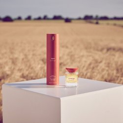 261 % mehr Glanz? Dyson überrascht mit neuem Haarpflege-Geheimnis