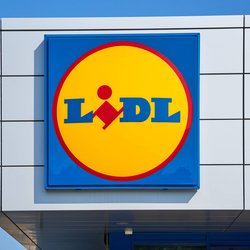 Ideal für Schule, Büro und Co.: Der Lidl-Lunchbehälter zum kleinen Preis