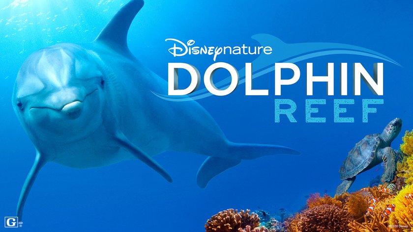 Disney Nature: Delfine & Elefanten
