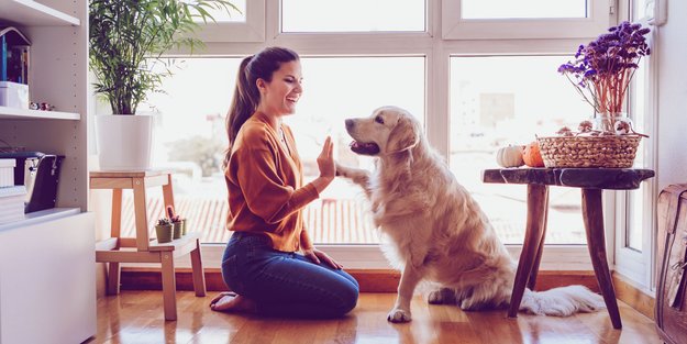 Mach den Test: Wie gut verstehst du deinen Hund wirklich?