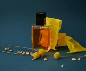 Männerparfums, die beeindrucken: Schnapp dir diese Klassiker von Rossmann