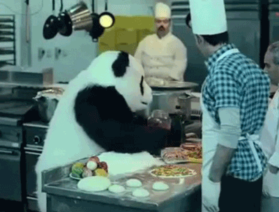 giphy Grumpy Panda giphy Grumpy Panda