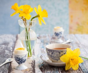 Tischdeko für Ostern: Schlichte Ideen mit Blumen, Eiern & Osternestern