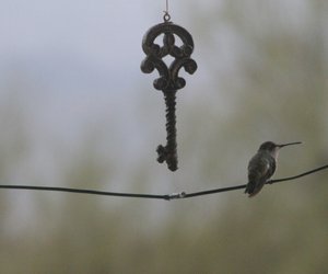 Traumdeutung Schlüssel: Was steckt hinter diesem Symbol?