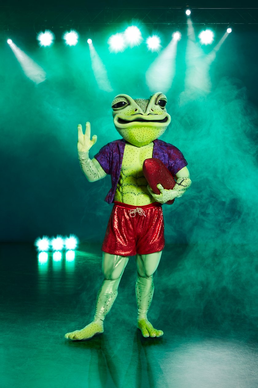 The Masked Singer Frosch
