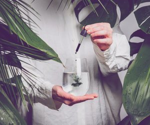 Wasser mit Chlorophyll: Wieso jetzt alle dieses Wundermittel trinken