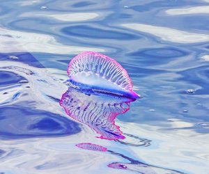 Portugiesische-Galeere-Stellung: Anleitung und Tipps