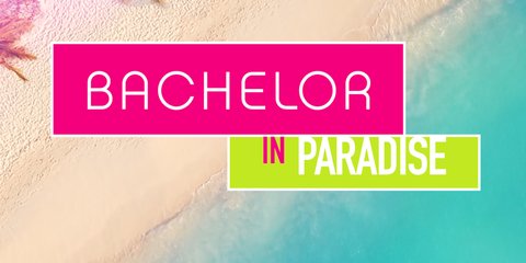 „Bachelor in Paradise“-Finale: Paar verkündet überraschend Baby-News!