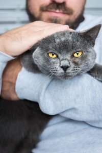 Katzenbesitzer gehen am häufigsten fremd Katzenbesitzer gehen am häufigsten fremd