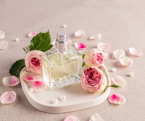 Passen in jede Tasche: 5 Parfums, die dich auf jedes Festival begleiten