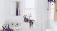 Badezimmer-Deko: 4 Tipps für deine persönliche Wohlfühloase