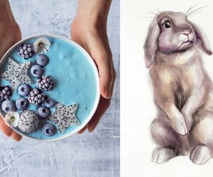 Bloggerin malt süße Tiere auf Smoothie Bowls