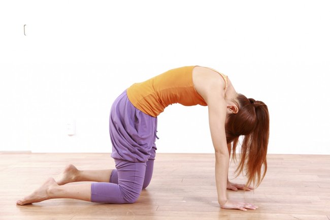 yoga katze yoga katze