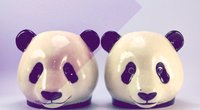 Panda-Syndrom: Ist deine Beziehung von dem Sex-Phänomen betroffen?