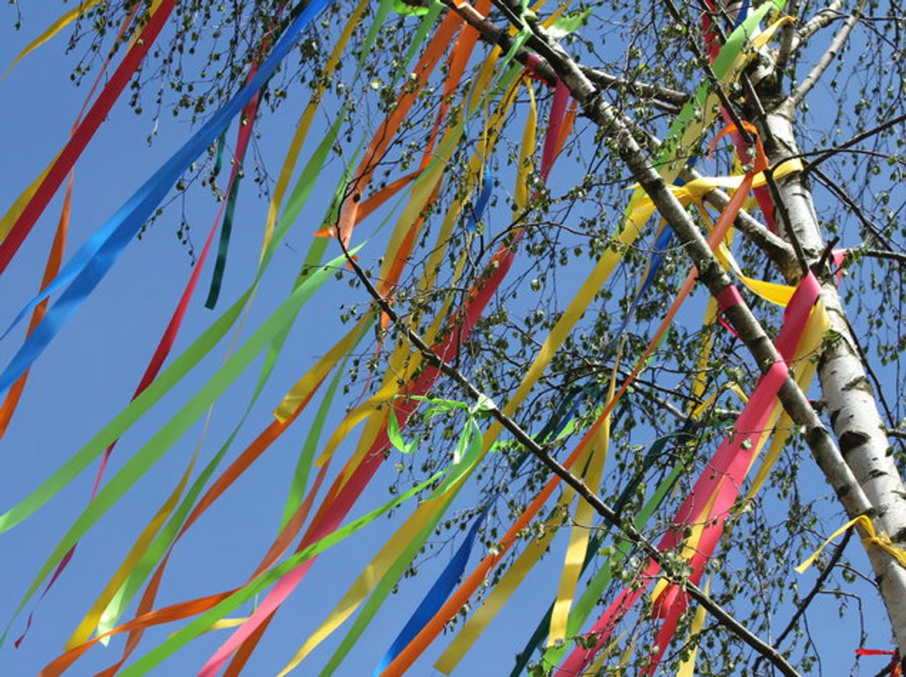 Maibaum stellen für die Freundin Das ist die Bedeutung dahinter