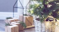 Nachhaltiger Weihnachtsbaum: Diese 5 Alternativen musst du kennen
