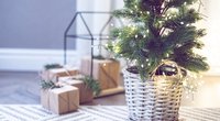 Nachhaltiger Weihnachtsbaum: Diese 5 Alternativen musst du kennen
