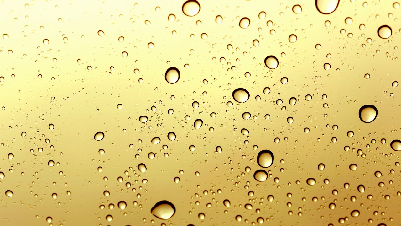 Gold water drop windshiled background.