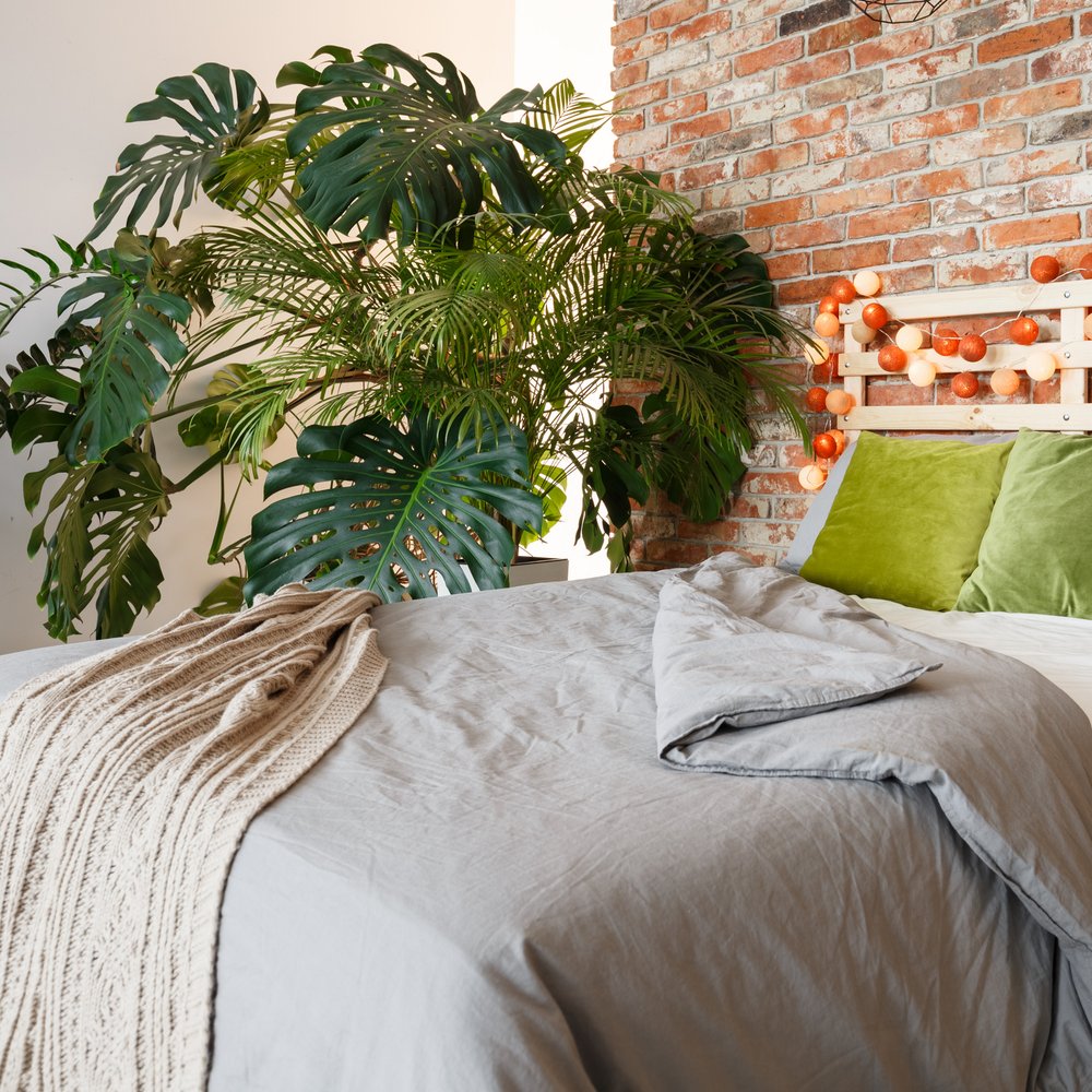 b850b7b2c1440364a21733ef68_YyAxNDE0eDE0MTQrMCswAnJlIDEwMDAgNDMyLjc4Njg4NTE3MjExAzcyYjBiMTA0MTM2_bedroom with monstera