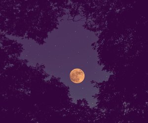 Wie beeinflusst der Oktober-Vollmond die einzelnen Sternzeichen?