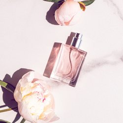 Welche Parfums trägt man im Frühling? Unsere 5 Favoriten von süß bis orientalisch 