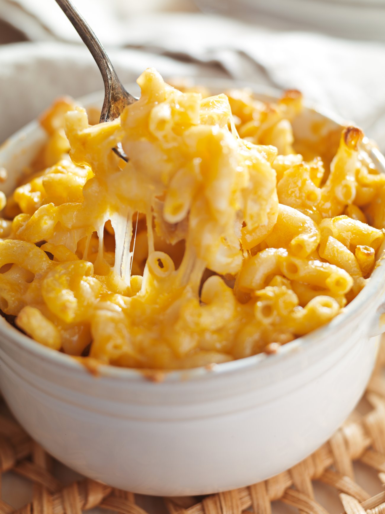 Käse-Macaroni Käse-Macaroni