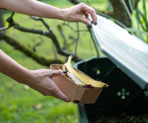Biotonne reinigen leicht gemacht: Mit diesen Tipps wird es einfacher (besonders im Sommer!)