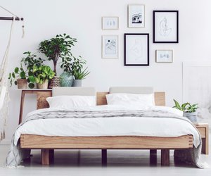 Pflanzen im Schlafzimmer: Diese 6 Arten schaffen ein Wohlfühlklima