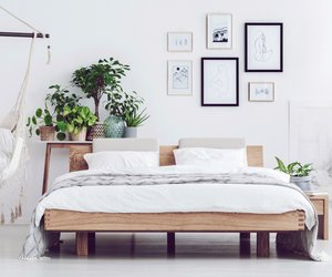Pflanzen im Schlafzimmer: Diese 6 Arten schaffen ein Wohlfühlklima