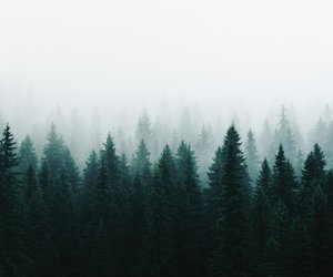 Ein Kind überlebt das Unvorstellbare: Dieser Krimi-Roman wird dich in Atem halten (Ein Muss für Fitzek-Fans!)