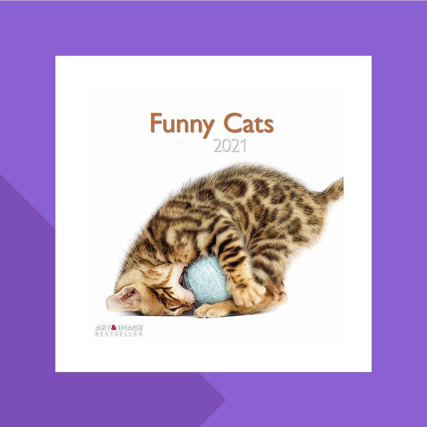 Funny Cats Kalender 2021