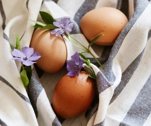 Eier kochen: So gelingt dir das perfekte Frühstücks-Ei!
