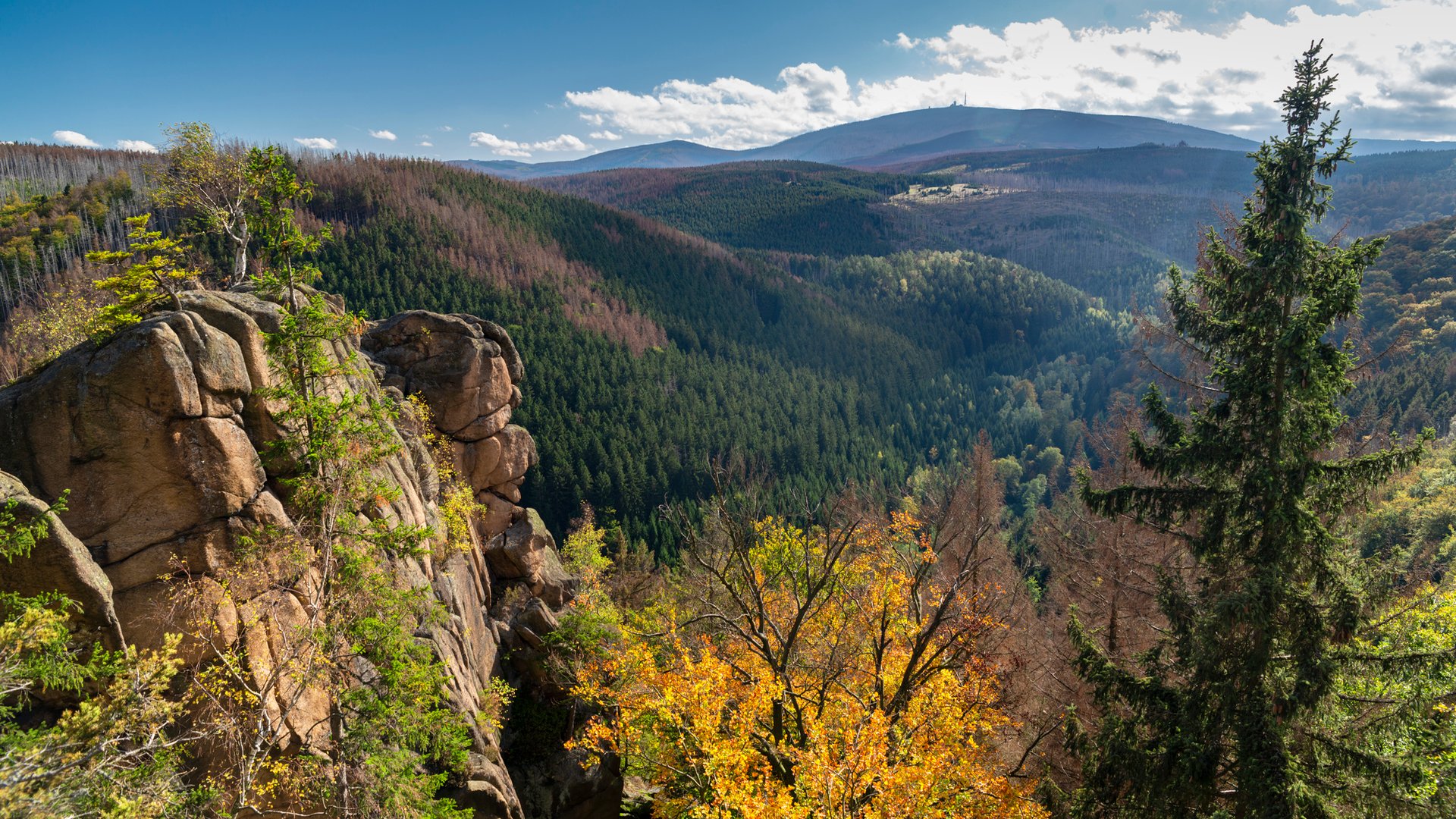 Die-5-sch-nsten-Wanderwege-im-Harz