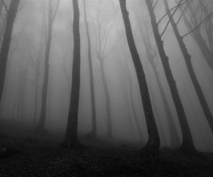 Diese berührende Thriller von Harlan Coben ist ein fesselndes Liebesdrama