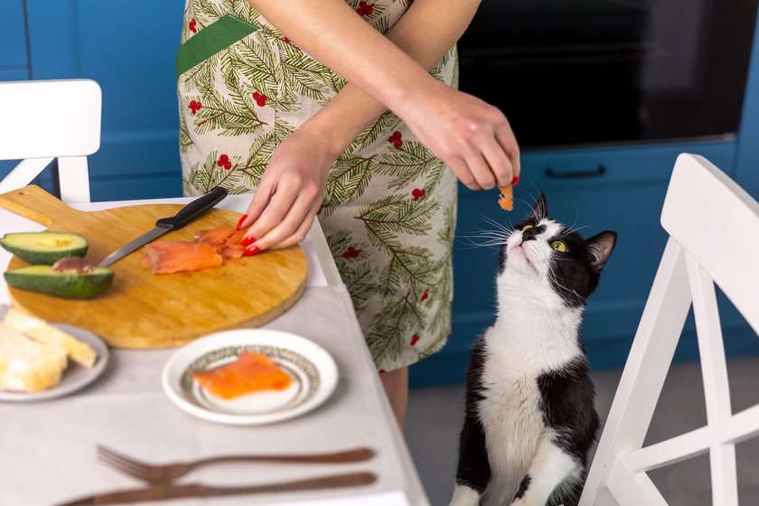 Frau schnibbelt Lachs und gibt ein Stück der Katze.