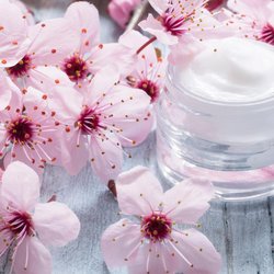 Das bewirken Kirschblüten in Beauty-Produkten
