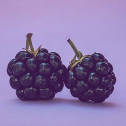 Was genau ist eigentlich Brombeersex?