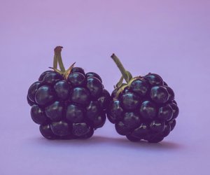 Was genau ist eigentlich Brombeersex?